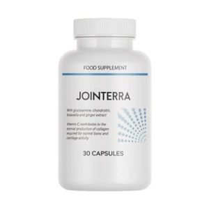 Jointerra